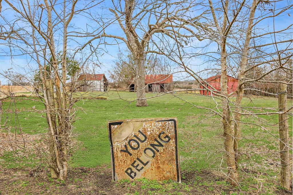 1905 Century Farms Road, Burton, Texas image 34