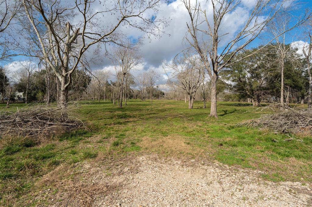 17810 Oak Meadow Road, Damon, Texas image 15