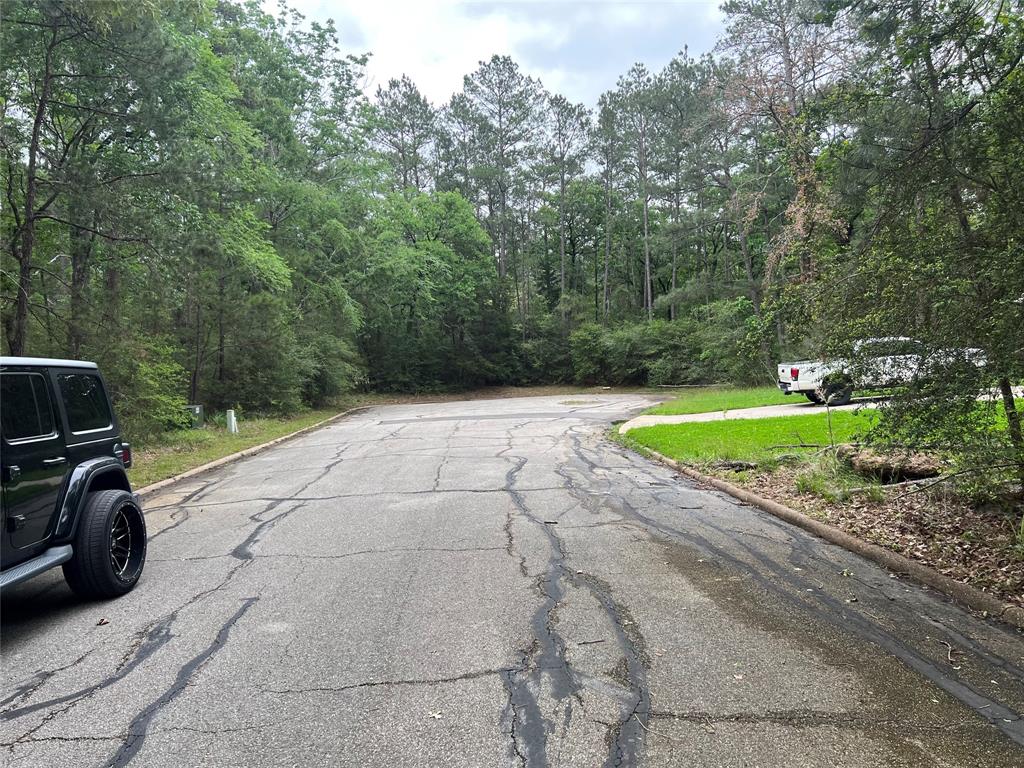 Cedar Court, Huntsville, Texas image 9