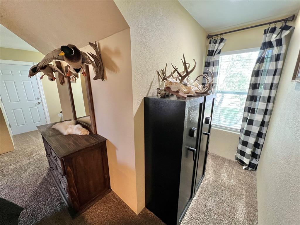 4916 County Road 819, Brazoria, Texas image 34