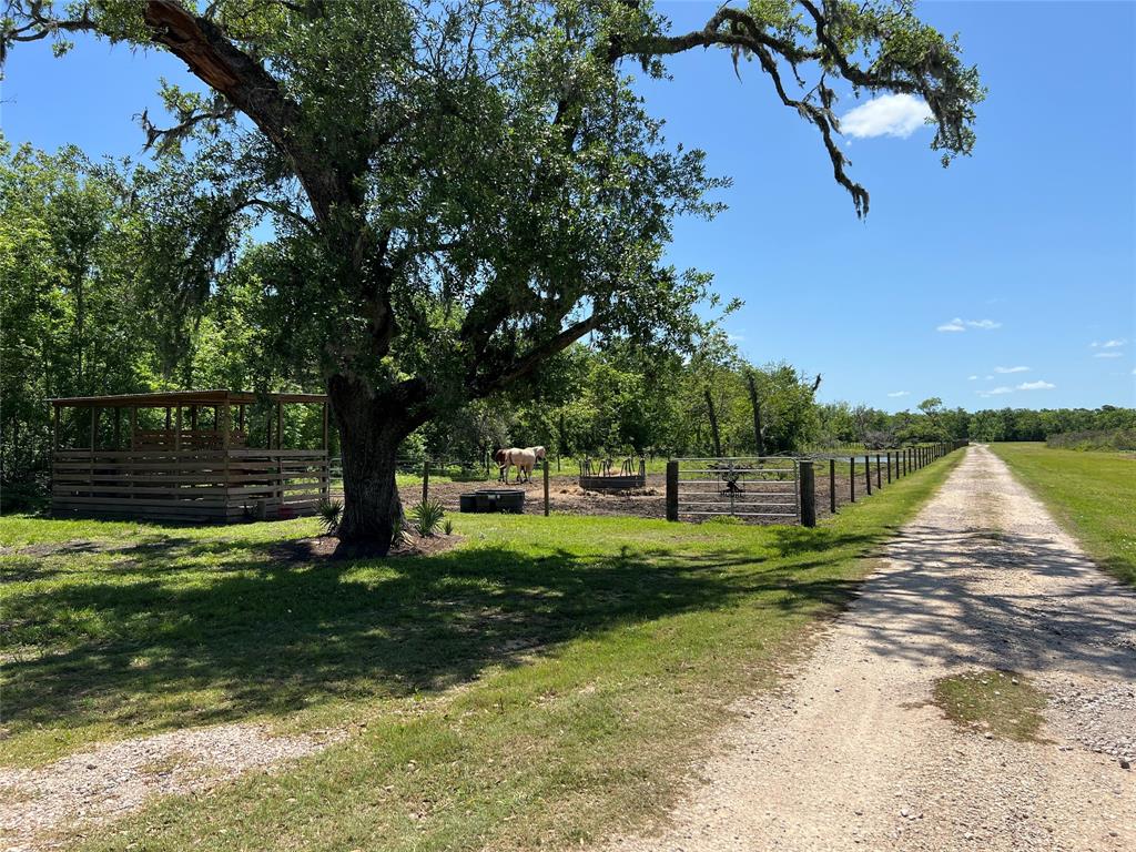 4916 County Road 819, Brazoria, Texas image 43