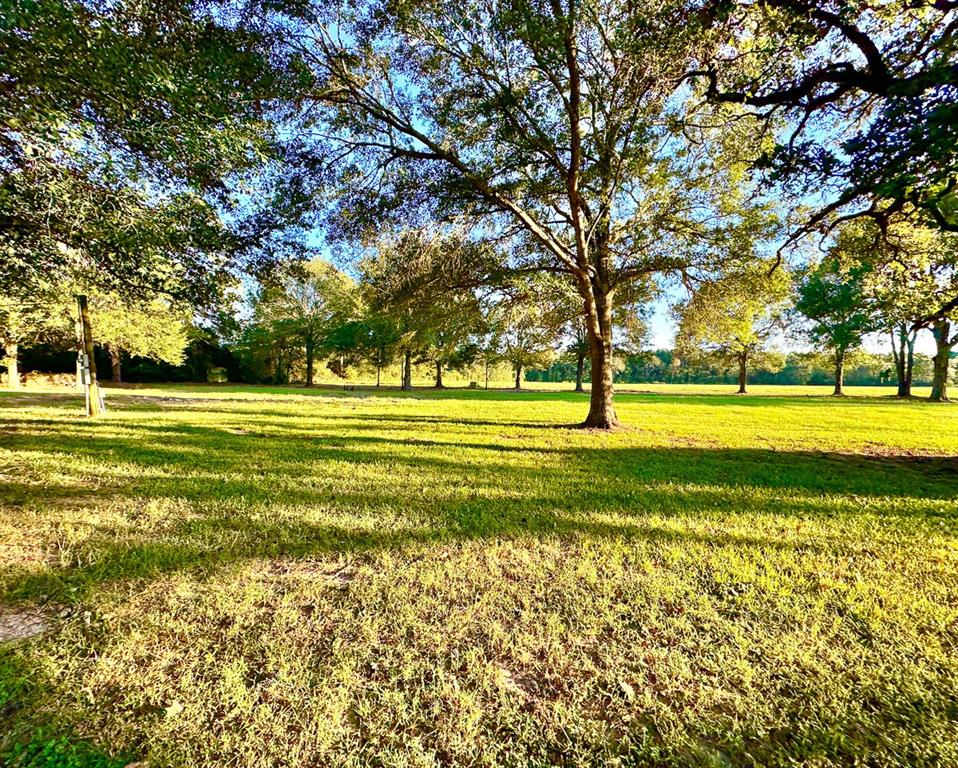 1 Hoke Road, Richards, Texas image 18