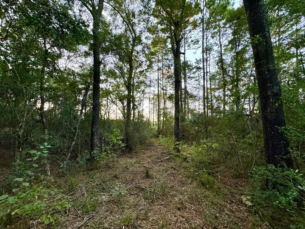 1 Hoke Road, Richards, Texas image 31