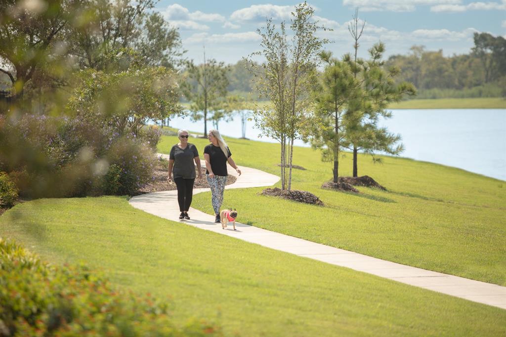 5259 Capricorn Way, Iowa Colony, Texas image 31