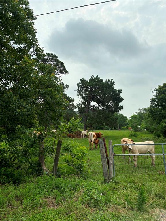 000 Hwy 59, Cleveland, Texas image 2