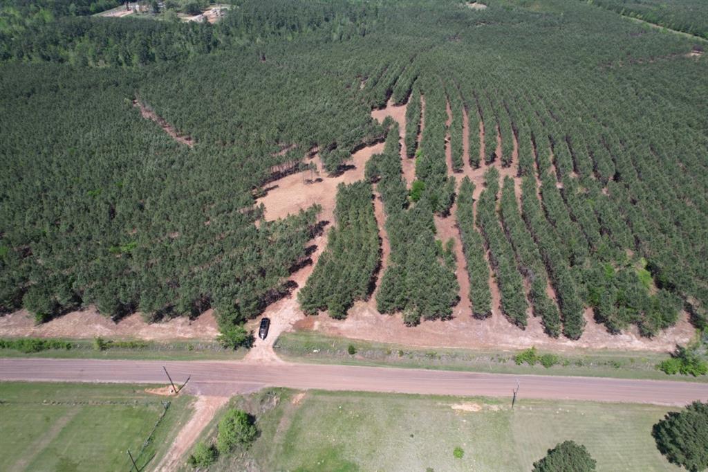 TBD-J Lincoln Springs Rd, Gladewater, Texas image 7