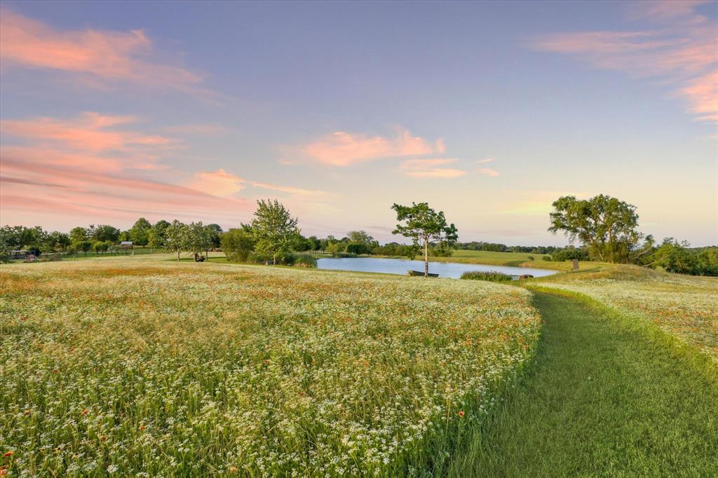 4555 Krueger Road, Washington, Texas image 24
