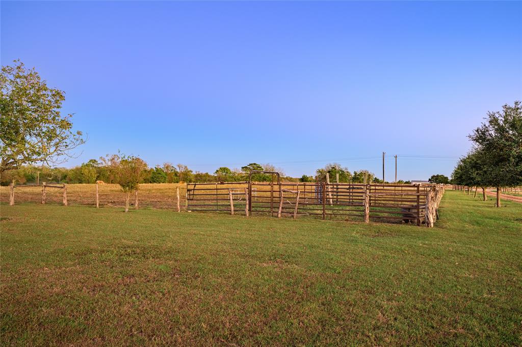 1820 Tiemann Road, New Ulm, Texas image 26