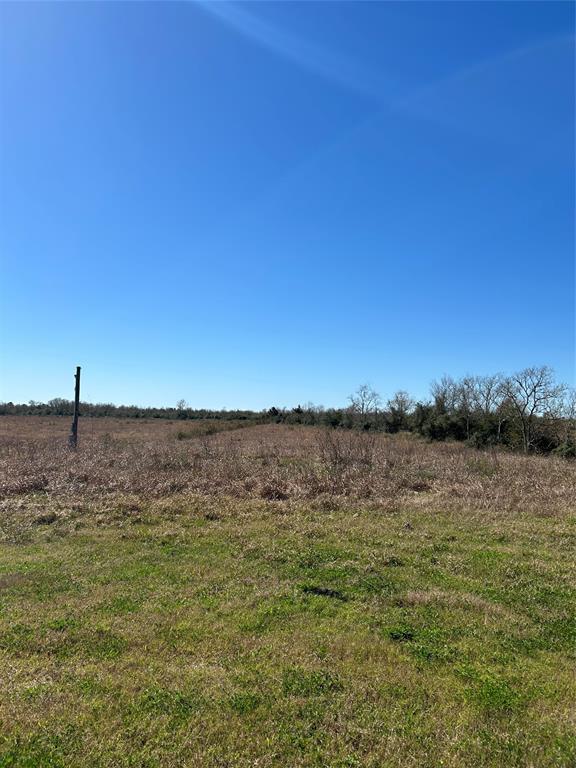 2682 W Bayshore Rd Rd, Anahuac, Texas image 3