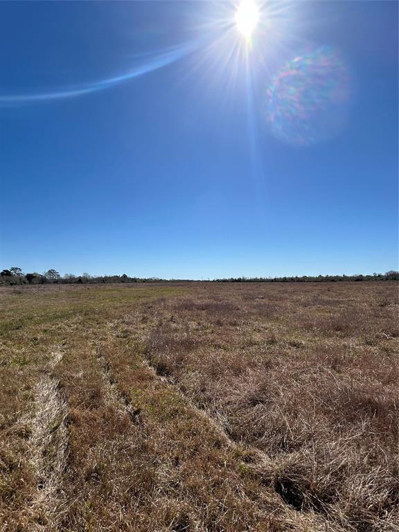 2682 W Bayshore Rd Rd, Anahuac, Texas image 1