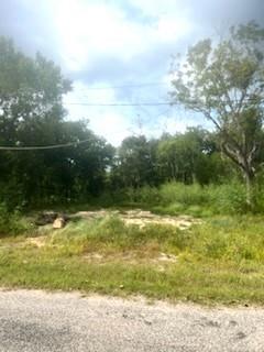 Lot 23 W Rockdale Street, Trinity, Texas image 1