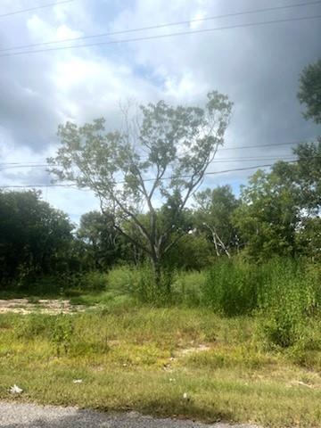 Lot 23 W Rockdale Street, Trinity, Texas image 3