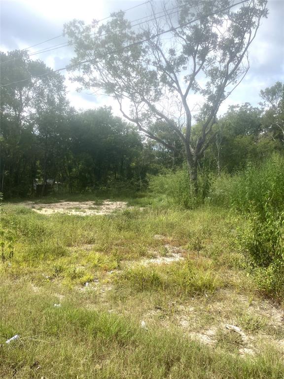 Lot 23 W Rockdale Street, Trinity, Texas image 7