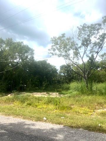 Lot 23 W Rockdale Street, Trinity, Texas image 4