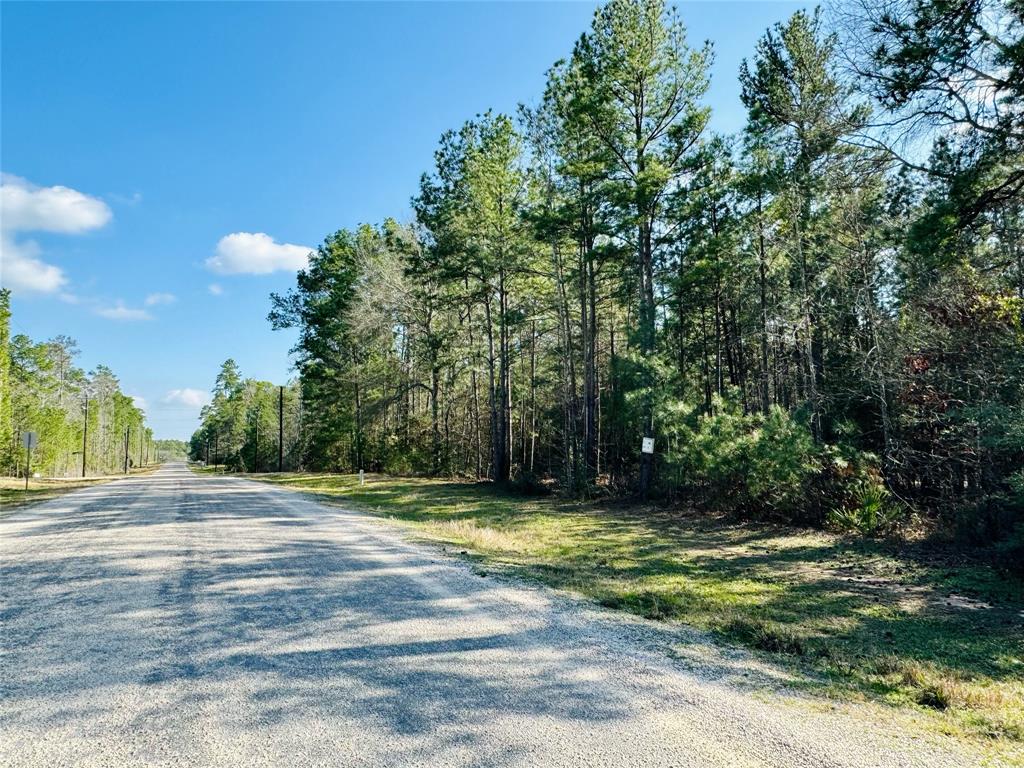 Lot 13A Texas Grand Road, Huntsville, Texas image 6