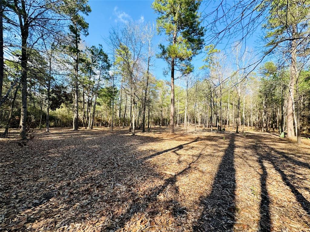 Lot 13A Texas Grand Road, Huntsville, Texas image 2