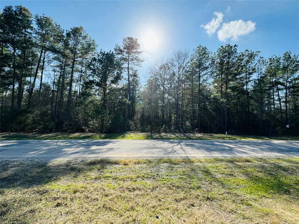 Lot 13A Texas Grand Road, Huntsville, Texas image 7