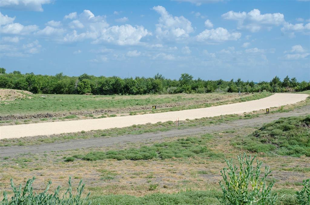 Lot 7 Sunflower, Chappell Hill, Texas image 27