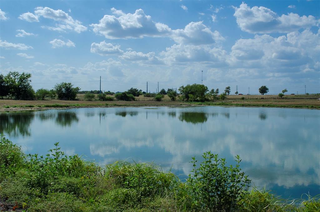 Lot 7 Sunflower, Chappell Hill, Texas image 25