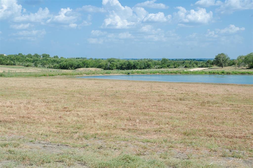 Lot 7 Sunflower, Chappell Hill, Texas image 33