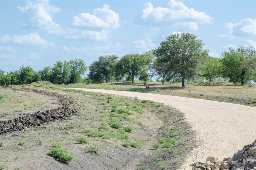 Lot 7 Sunflower, Chappell Hill, Texas image 39