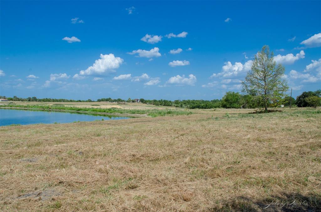 Lot 7 Sunflower, Chappell Hill, Texas image 20