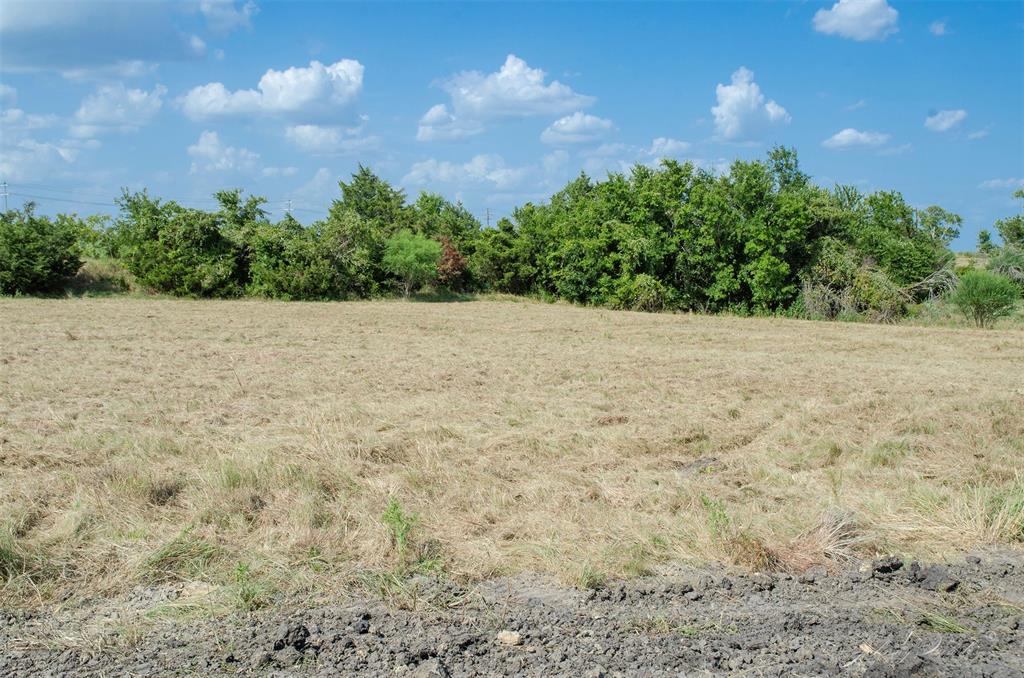 Lot 7 Sunflower, Chappell Hill, Texas image 36