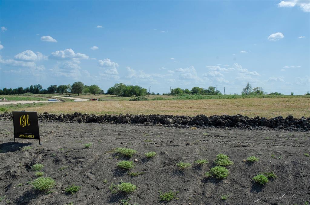 Lot 7 Sunflower, Chappell Hill, Texas image 37