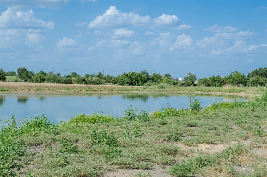 Lot 7 Sunflower, Chappell Hill, Texas image 24