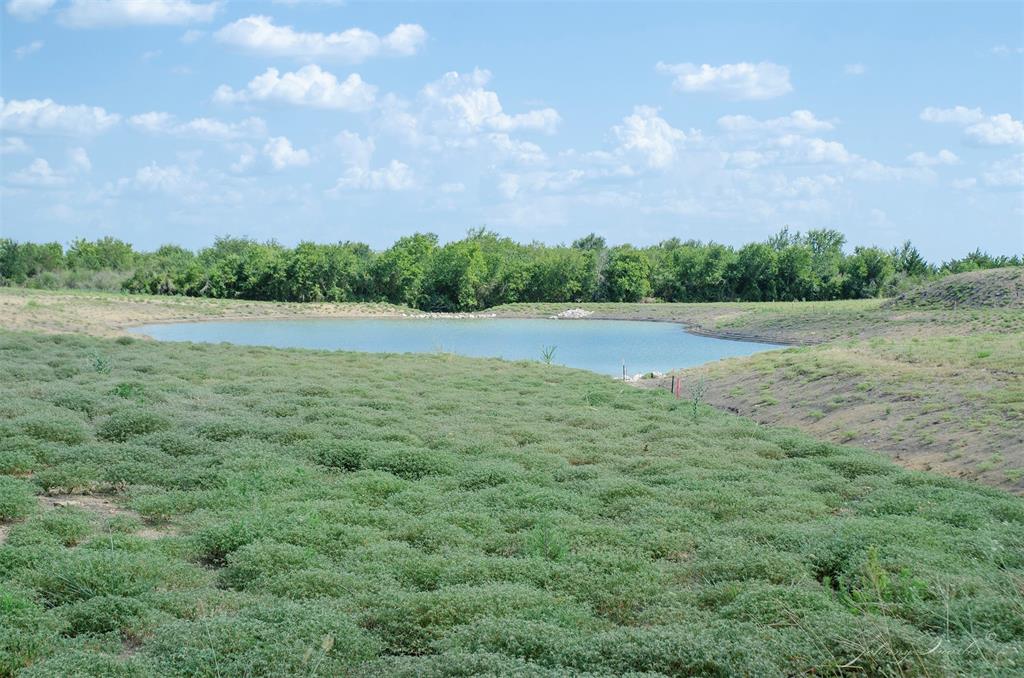 Lot 7 Sunflower, Chappell Hill, Texas image 9