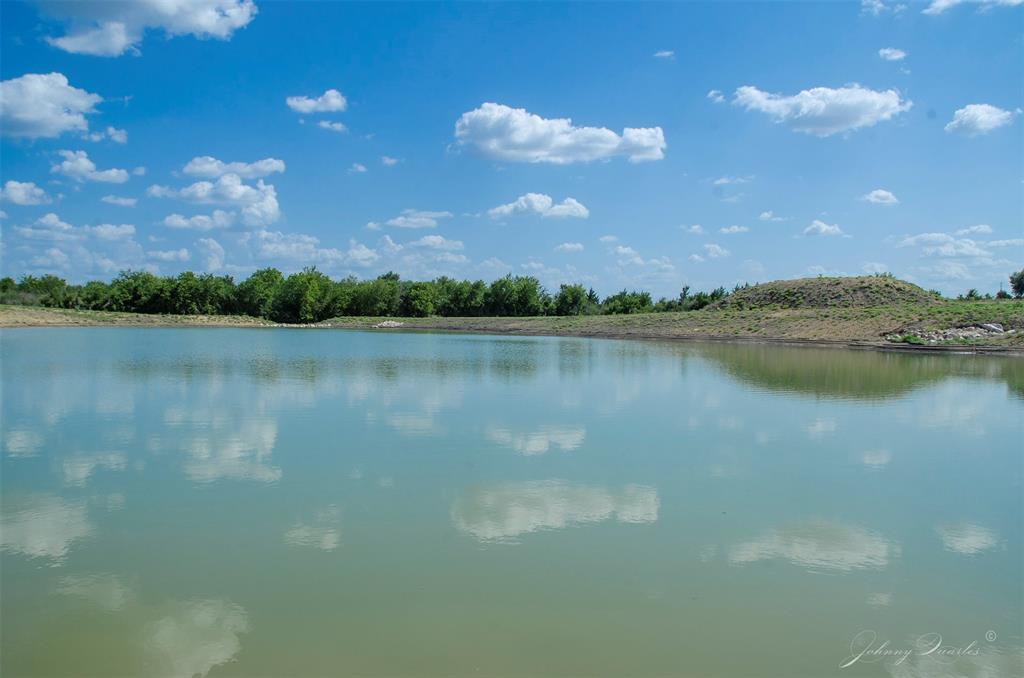Lot 7 Sunflower, Chappell Hill, Texas image 7