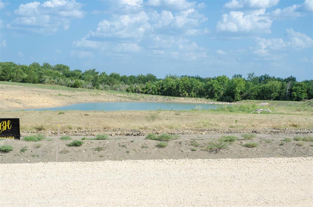 Lot 7 Sunflower, Chappell Hill, Texas image 38