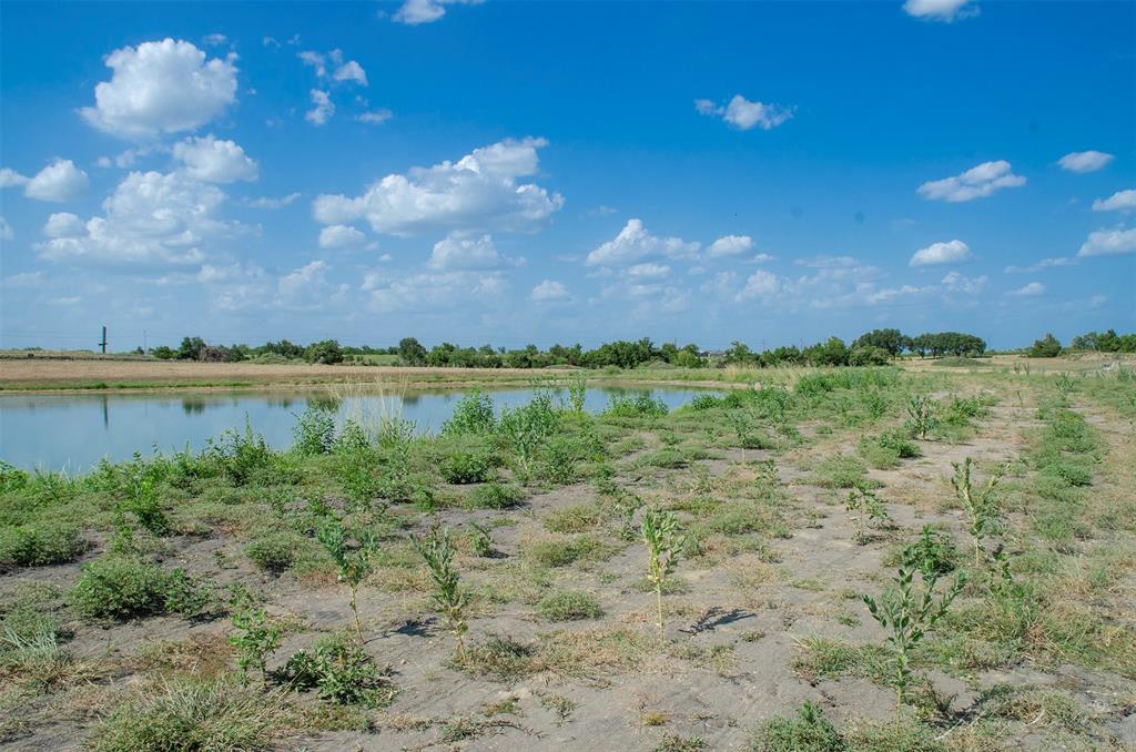 Lot 7 Sunflower, Chappell Hill, Texas image 26