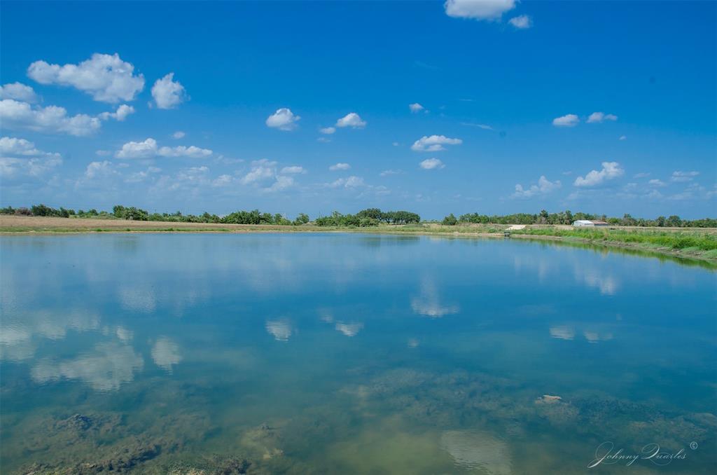 Lot 7 Sunflower, Chappell Hill, Texas image 17