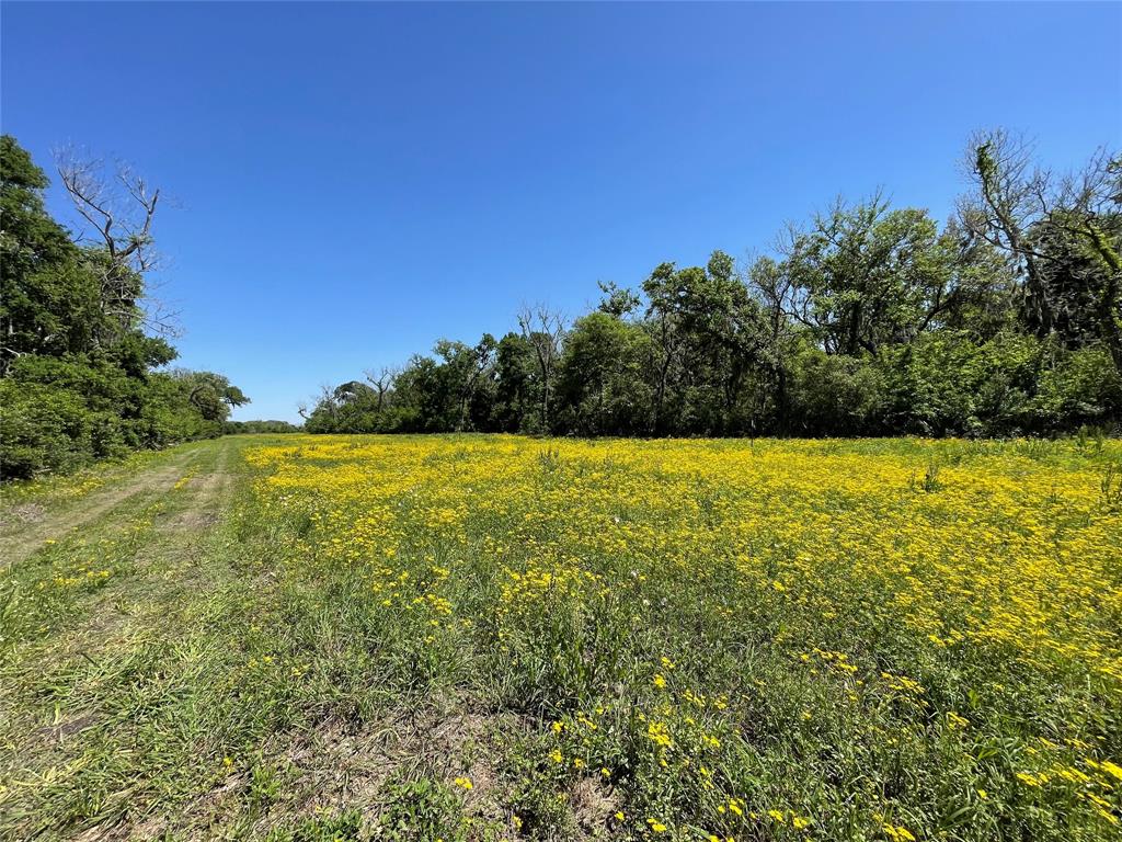 TBD County Road 488 Loop, Sweeny, Texas image 6