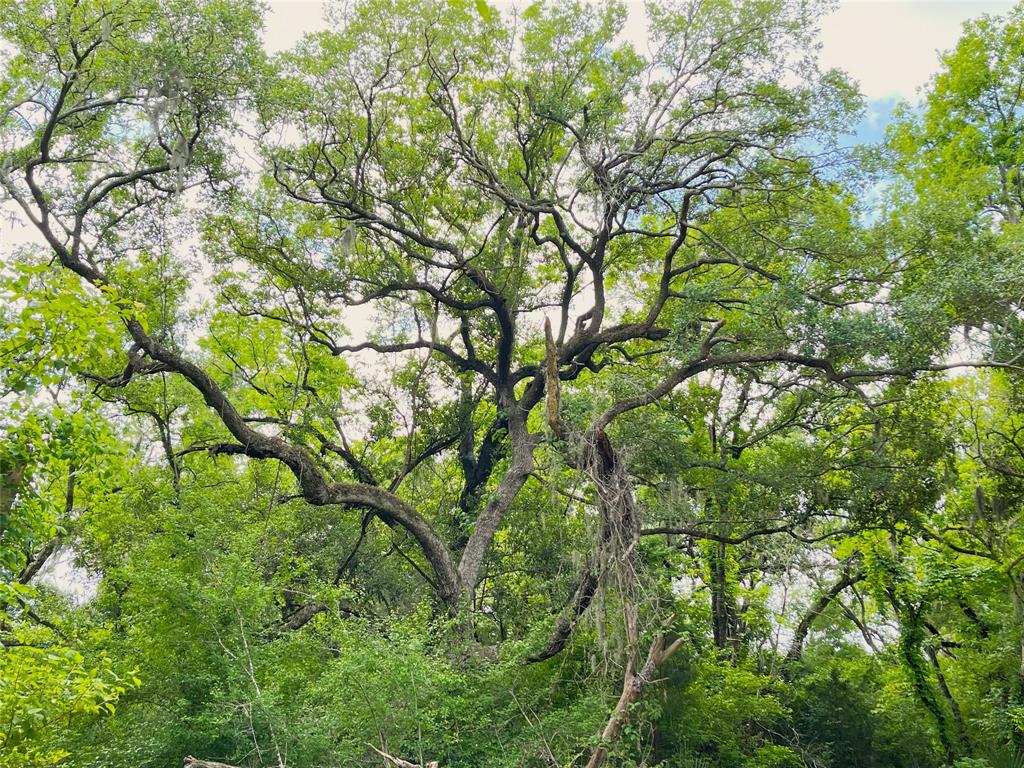 TBD County Road 488 Loop, Sweeny, Texas image 46