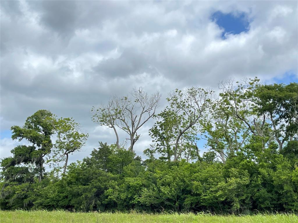 TBD County Road 488 Loop, Sweeny, Texas image 44