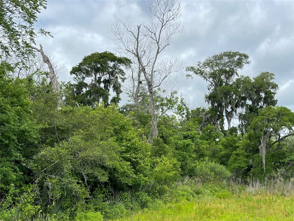 TBD County Road 488 Loop, Sweeny, Texas image 42