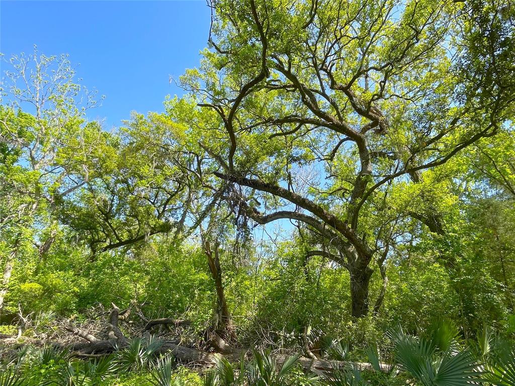 TBD County Road 488 Loop, Sweeny, Texas image 36