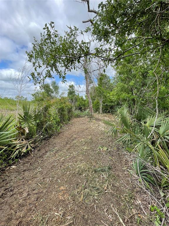 TBD County Road 488 Loop, Sweeny, Texas image 30