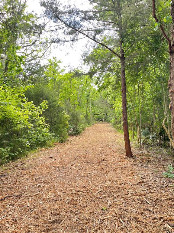 TBD County Road 488 Loop, Sweeny, Texas image 7