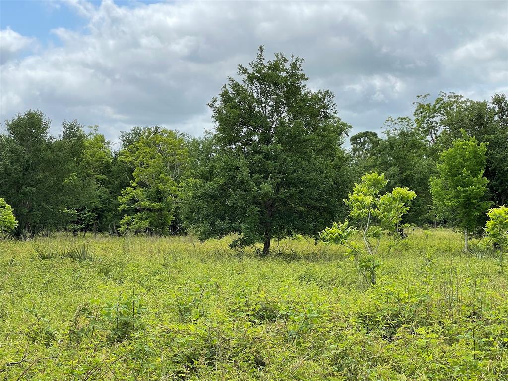 TBD County Road 488 Loop, Sweeny, Texas image 10