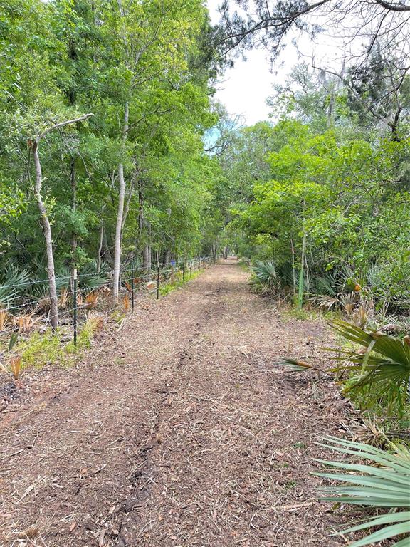 TBD County Road 488 Loop, Sweeny, Texas image 45