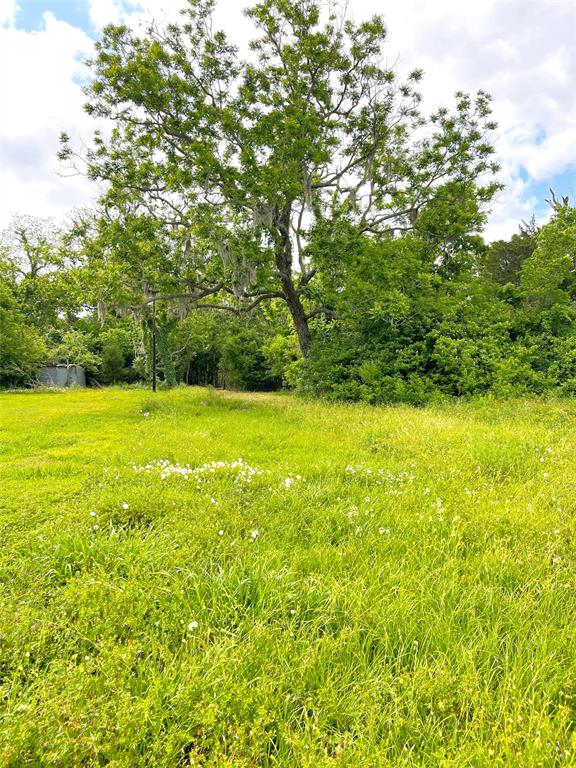 TBD County Road 488 Loop, Sweeny, Texas image 23