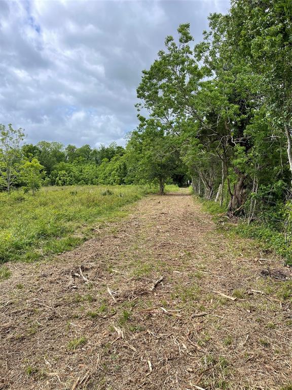 TBD County Road 488 Loop, Sweeny, Texas image 33