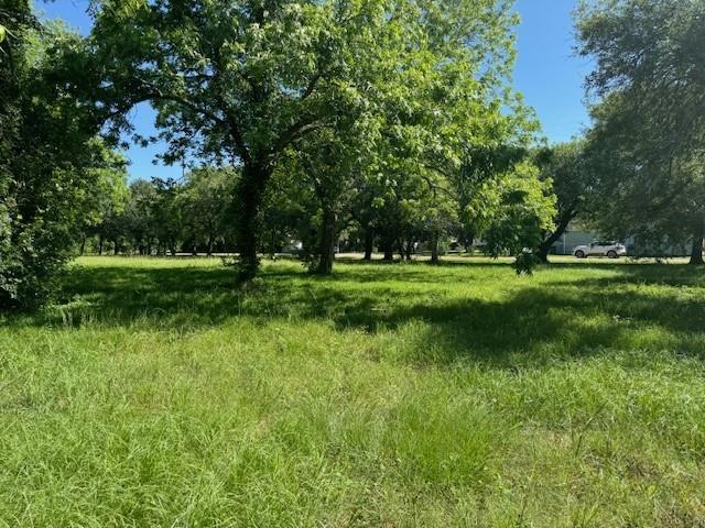 1713 Maple Street, La Marque, Texas image 17