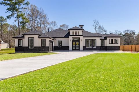 22861 Cumbre Drive Porter TX 77365