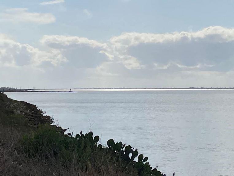 Lot 210 Clam Dr Dr, Palacios, Texas image 6