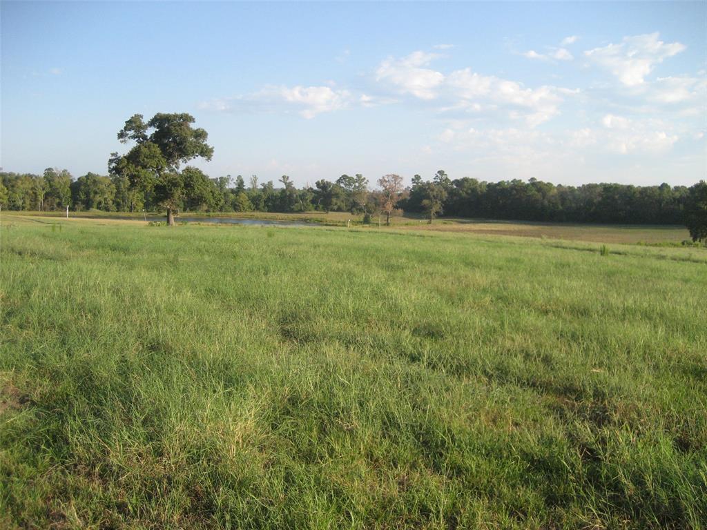 11361 State Highway 21 East, Crockett, Texas image 21