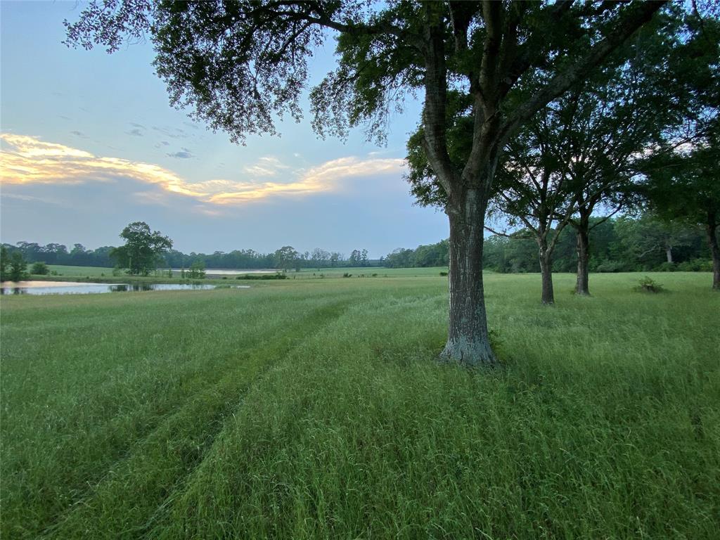 11361 State Highway 21 East, Crockett, Texas image 14